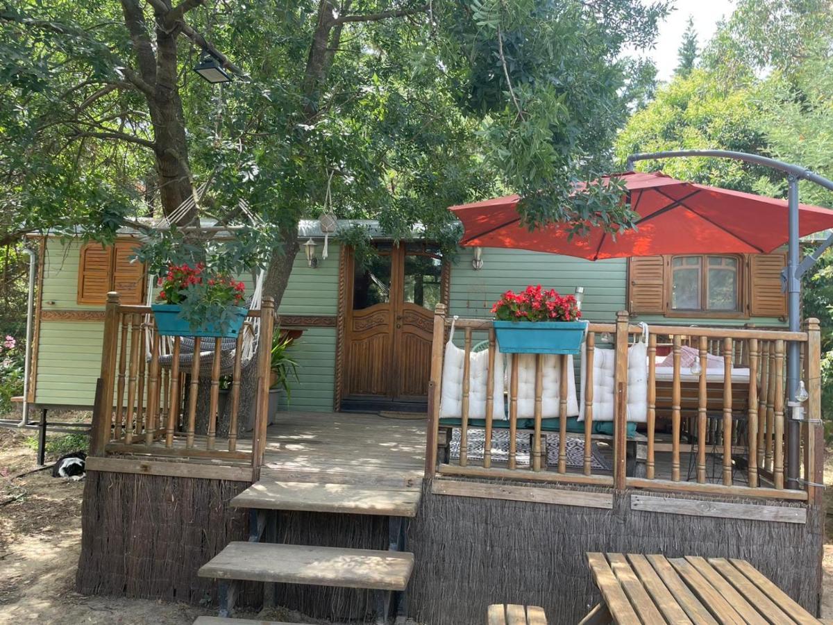 Roulotte En Bois Sud France Guest House Le Soler Exterior foto