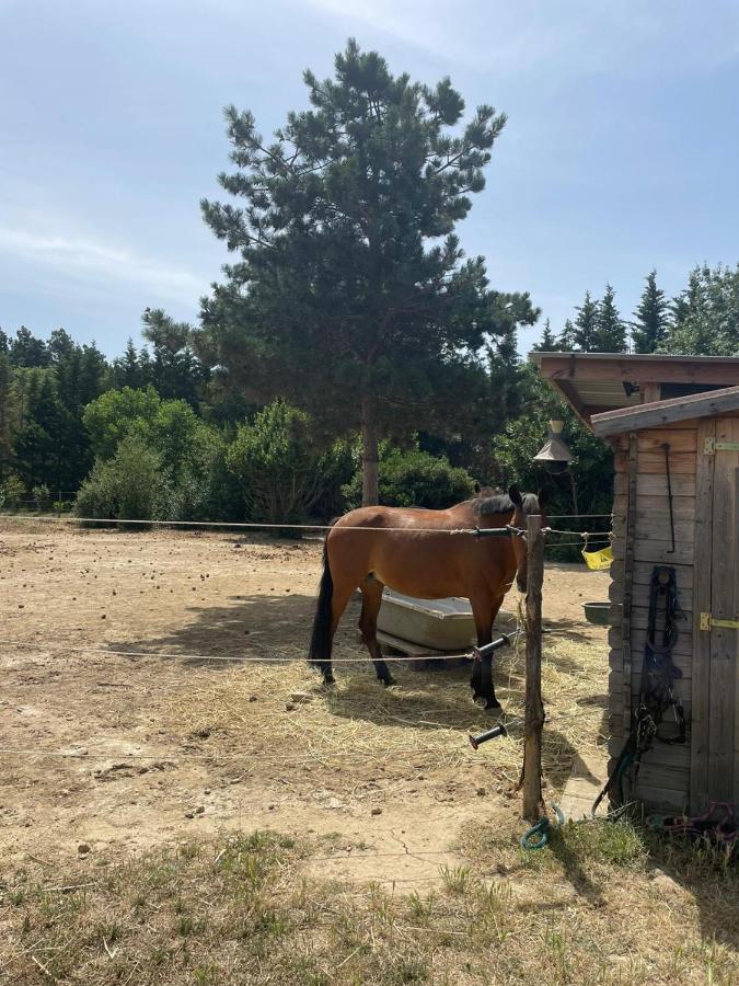 Roulotte En Bois Sud France Guest House Le Soler Exterior foto