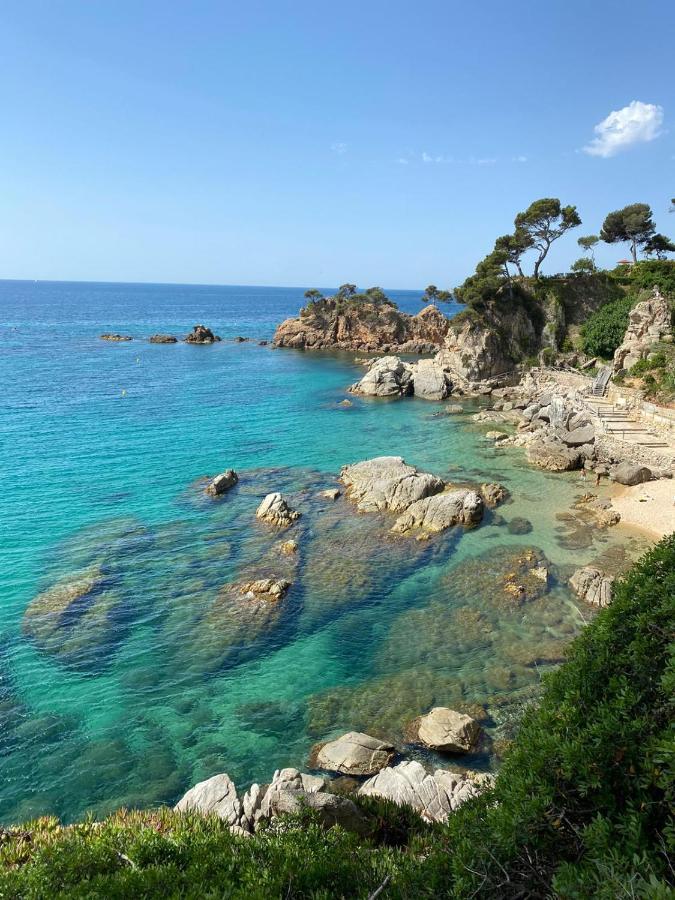 Roulotte En Bois Sud France Guest House Le Soler Exterior foto