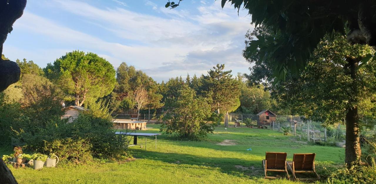 Roulotte En Bois Sud France Guest House Le Soler Exterior foto